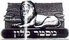 מסטר סלון - לוגו סימן מסחר