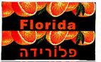 פלורידה - לוגו סימן מסחר