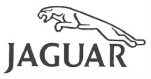 JAGUAR - לוגו סימן מסחר רשום