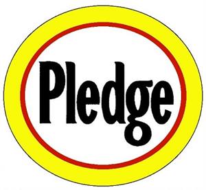 PLEDGE - לוגו סימן מסחר רשום
