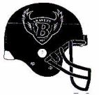 RAVENS B - לוגו סימן מסחר
