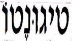 טיגונטו - לוגו סימן מסחר