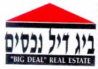 ביג דיל נכסים - לוגו סימן מסחר