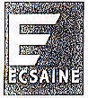 ECSAINE E - לוגו סימן מסחר