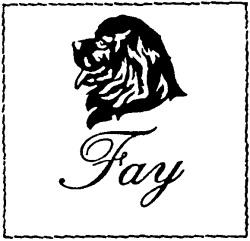 FAY - לוגו סימן מסחר רשום