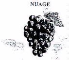 NUAGE - לוגו סימן מסחר
