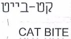 קט-בייט - לוגו סימן מסחר