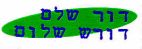 דור שלם דורש שלום - לוגו סימן מסחר