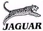 JAGUAR - לוגו סימן מסחר