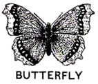 BUTTERFLY - לוגו סימן מסחר