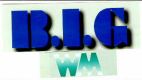 B.I.G WM - לוגו סימן מסחר