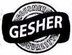 GESHER - לוגו סימן מסחר רשום