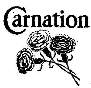 CARNATION - לוגו סימן מסחר רשום