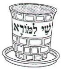 שי למורא - לוגו סימן מסחר