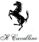 IL Cavallino I L - לוגו סימן מסחר רשום