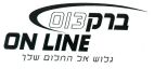ברק 013 - לוגו סימן מסחר