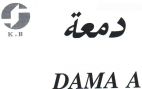 DAMA A - לוגו סימן מסחר