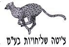 צ'יטה שליחויות בע"מ - לוגו סימן מסחר