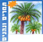תמרים ונהנים - לוגו סימן מסחר רשום