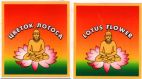 ЦВЕТОК ЛОТОСА  LOTUS FLOWER - לוגו סימן מסחר