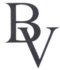 BV - לוגו סימן מסחר