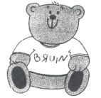 BRUIN - לוגו סימן מסחר רשום