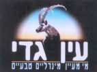 עין גדי מי מעיין מינרלים טבעיים - לוגו סימן מסחר רשום