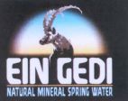 EIN GEDI natural mineral spring water - לוגו סימן מסחר רשום