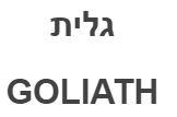 גלית - לוגו סימן מסחר