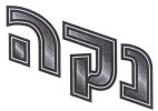 נקה - לוגו סימן מסחר רשום