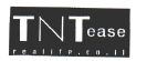 T N T ease realife.co.il - לוגו סימן מסחר