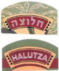 חלוצה - לוגו סימן מסחר רשום