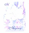 magiray M - לוגו סימן מסחר