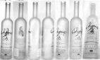 CHOPIN VODKA - לוגו סימן מסחר
