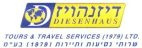 דיזנהויז - לוגו סימן מסחר