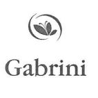 Gabrini - לוגו סימן מסחר