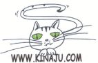 WWW.KINAJU.COM - לוגו סימן מסחר