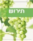 תירוש - לוגו סימן מסחר