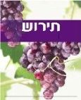 תירוש - לוגו סימן מסחר