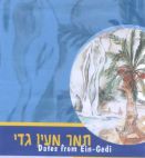 תמר מעין גדי - לוגו סימן מסחר