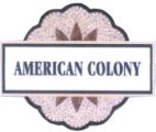 AMERICAN COLONY - לוגו סימן מסחר
