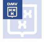 DMV XXX - לוגו סימן מסחר