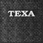 TEXA - לוגו סימן מסחר