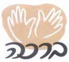 ברכה - לוגו סימן מסחר