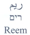ريم רים - לוגו סימן מסחר