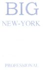 BIG NEW YORK - לוגו סימן מסחר