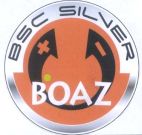 BOAZ BSC SILVER - לוגו סימן מסחר