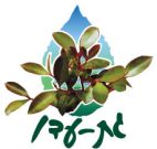 גת - עדן - לוגו סימן מסחר רשום