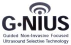 G.NIUS Guided Non-Invasive Focused Ultrasound Selective Technology - לוגו סימן מסחר