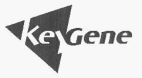 KEYGENE - לוגו סימן מסחר רשום